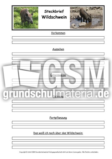 Wildschwein-Steckbriefvorlage.pdf